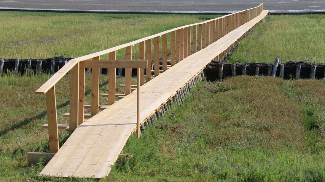 Ein Steg aus Fichtenholz üner die Salzwiesen von Norderney
